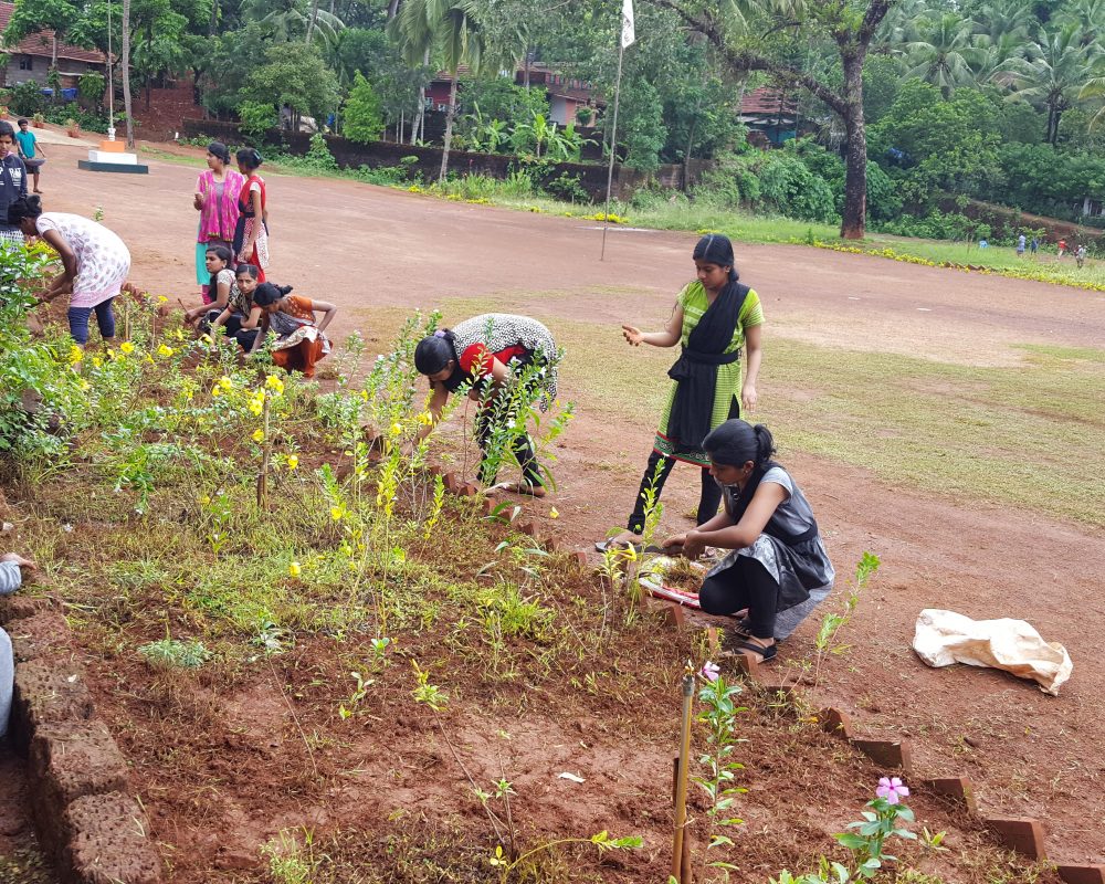 20170611_095624-min-obochmel72rk9kamydrr0c1kuhh6djesyf9rlv48xs