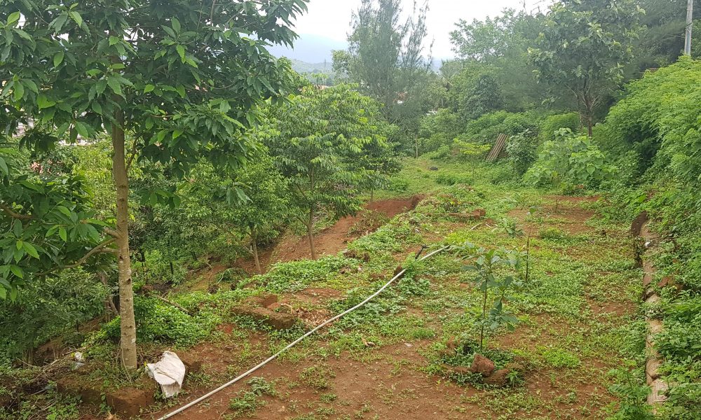 20190730_140650-min-obj4u3ecpcxbjce6tmax8csr8bppy3h8moyiewjw4w