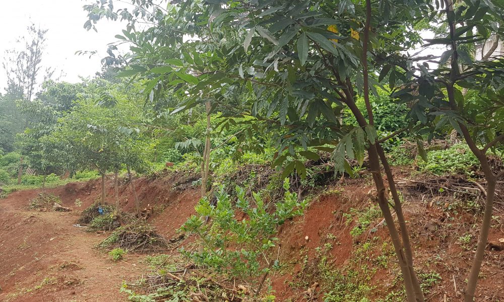 20190730_140743-min-obj4tvvn6on0ygp41j1woep2h8qs8indxnqmkov1io